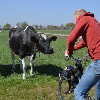 Solex toertocht en een kijkje nemen bij de koeien op een melkveebedrijf.