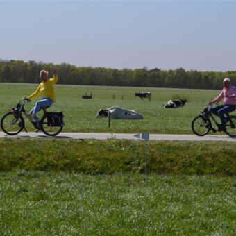Anderhalve meter uitje met de solex 92 - Het Drents Kwartiertje - Solex Huren / Rijden - Dafje Huren / Rijden - Groepsactiviteiten, workshops, teambuilding en trainingen Drenthe