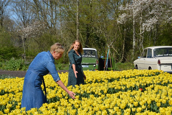 Coronaproof activiteit Drenthe - Het Drents Kwartiertje - Solex Huren / Rijden - Dafje Huren / Rijden - Groepsactiviteiten, workshops, teambuilding en trainingen Drenthe