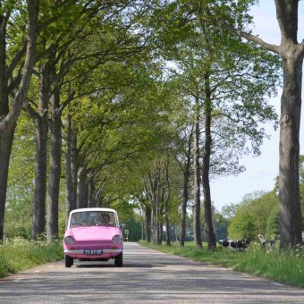 Daf rijden in het voorjaar - Het Drents Kwartiertje - Solex Huren / Rijden - Dafje Huren / Rijden - Groepsactiviteiten, workshops, teambuilding en trainingen Drenthe