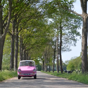 Genieten van Drenthe in het voorjaar tijdens een rit met de Daf 33.