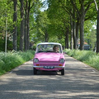 Daf toertocht bij het Drents kwartiertje.