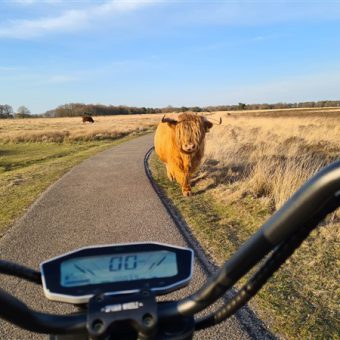 Echopper toertocht drenthe hijkerveld - Het Drents Kwartiertje - Solex Huren / Rijden - Dafje Huren / Rijden - Groepsactiviteiten, workshops, teambuilding en trainingen Drenthe