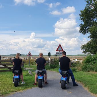 Echopper toertocht groepsuitje 144 - Het Drents Kwartiertje - Solex Huren / Rijden - Dafje Huren / Rijden - Groepsactiviteiten, workshops, teambuilding en trainingen Drenthe