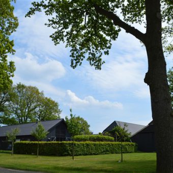 Groepsuitjes in Drenthe met groepsactiviteiten op het platteland nabij Assen Hooghalen Grolloo Westerbork 106 - Het Drents Kwartiertje - Solex Huren / Rijden - Dafje Huren / Rijden - Groepsactiviteiten, workshops, teambuilding en trainingen Drenthe