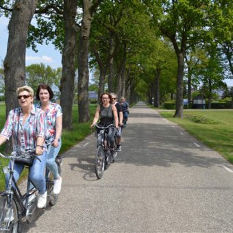 Groepsuitjes in Drenthe met groepsactiviteiten op het platteland nabij Assen Hooghalen Grolloo Westerbork 117 - Het Drents Kwartiertje - Solex Huren / Rijden - Dafje Huren / Rijden - Groepsactiviteiten, workshops, teambuilding en trainingen Drenthe