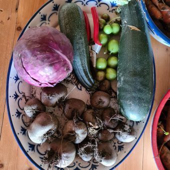 Groenten uit de pluktuin Drenthe