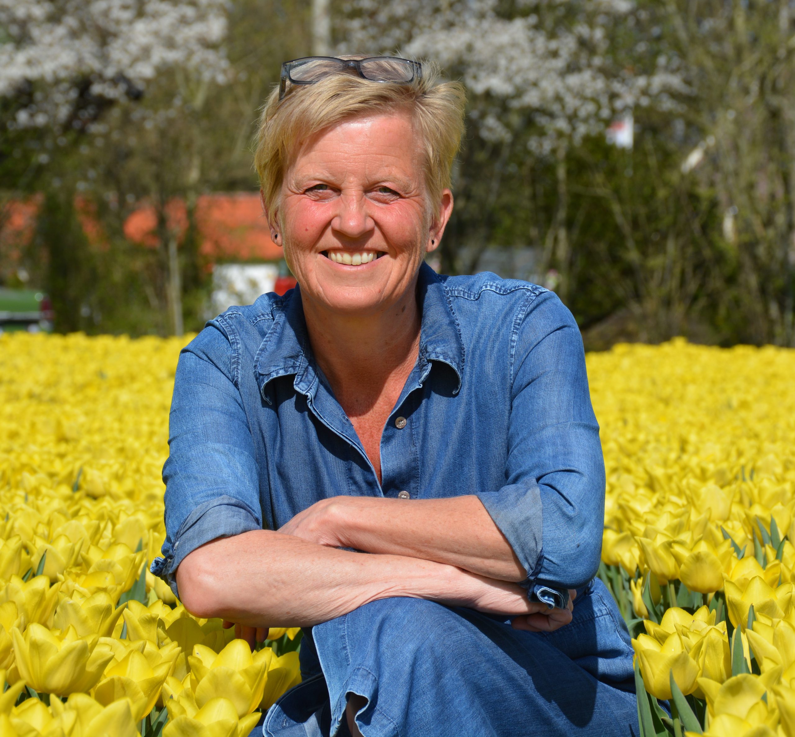 Margriet Slotman Aalbers scaled - Het Drents Kwartiertje - Solex Huren / Rijden - Dafje Huren / Rijden - Groepsactiviteiten, workshops, teambuilding en trainingen Drenthe