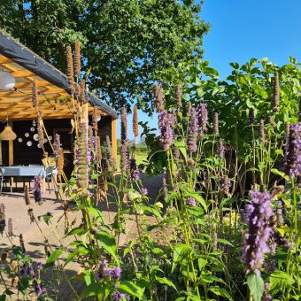 Overdekt terras coronaproof drenthe teamuitje - Het Drents Kwartiertje - Solex Huren / Rijden - Dafje Huren / Rijden - Groepsactiviteiten, workshops, teambuilding en trainingen Drenthe