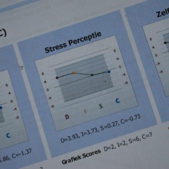 Ontdek de verschillende DISC stijlen en verbeter de samenwerking en communicatie binnen het team.