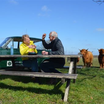 Uitje in Drenthe pasen eitje tikken - Het Drents Kwartiertje - Solex Huren / Rijden - Dafje Huren / Rijden - Groepsactiviteiten, workshops, teambuilding en trainingen Drenthe