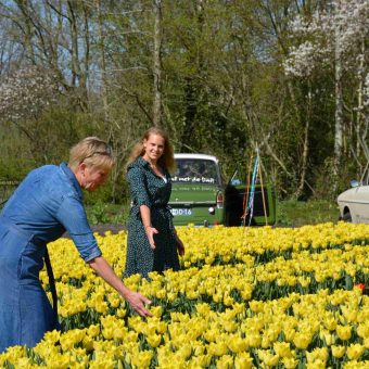 Voorjaarsuitje in Drenthe anderhalve meter - Het Drents Kwartiertje - Solex Huren / Rijden - Dafje Huren / Rijden - Groepsactiviteiten, workshops, teambuilding en trainingen Drenthe