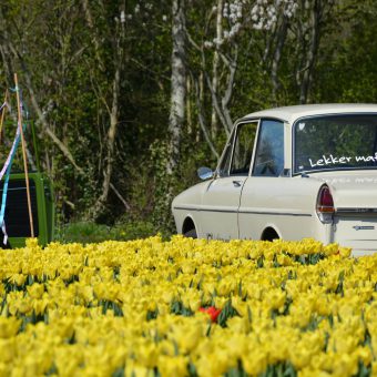 tulpentoer meivakantie uitje