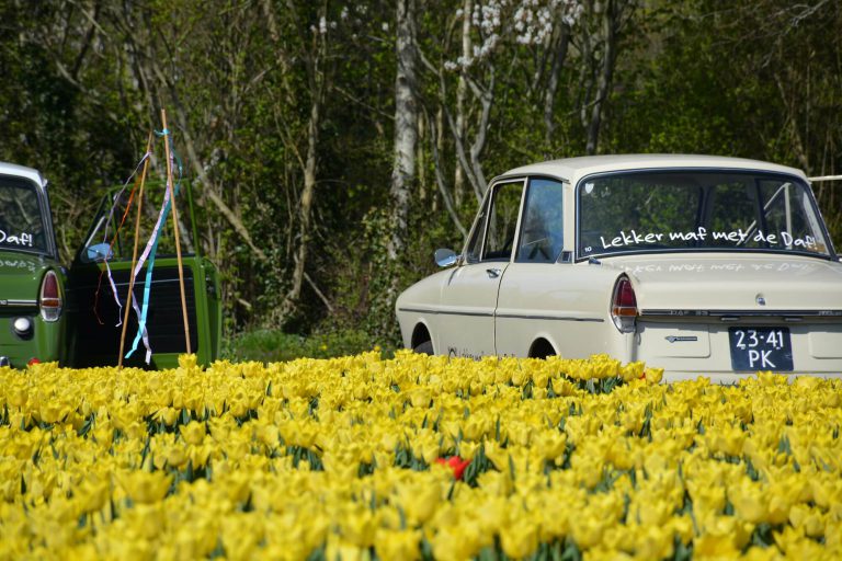 Meivakantie uitje -Tulpentoertocht en fotoshoot