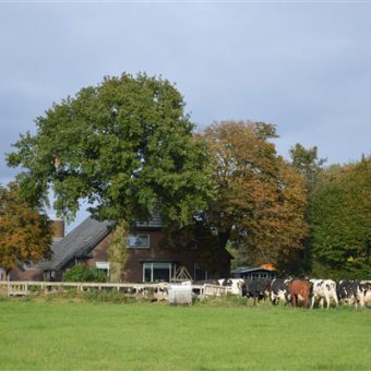 Waar komt de melk vandaan? Tijdens de leerzame rondleiding over de boerderij krijgen jullie een kijkje achter de schermen van een melkveebedrijf.