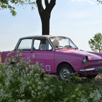 daf rijden in de lente - Het Drents Kwartiertje - Solex Huren / Rijden - Dafje Huren / Rijden - Groepsactiviteiten, workshops, teambuilding en trainingen Drenthe