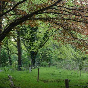 Heisessie in de natuur. Geniet van de rust en de ruimte en kom tot nieuwe inzichten.