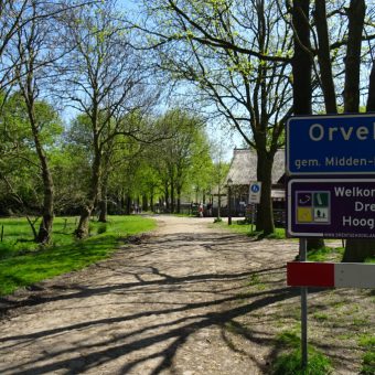 Daf rijden in Drenthe en het authentieke dorpje Orvelte verkennen.