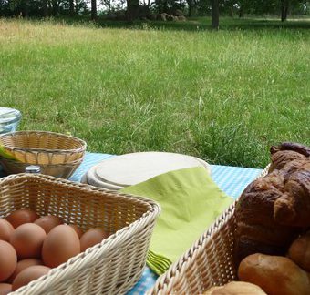 Daf rijden of solex toertocht? We verzorgen graag een heerlijke picknick voor onderweg.