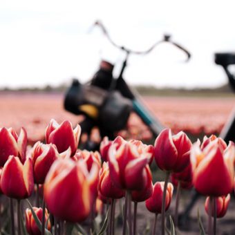 solex toertocht 10 - Het Drents Kwartiertje - Solex Huren / Rijden - Dafje Huren / Rijden - Groepsactiviteiten, workshops, teambuilding en trainingen Drenthe