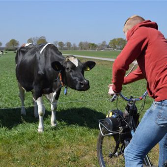 solex toertocht 16 - Het Drents Kwartiertje - Solex Huren / Rijden - Dafje Huren / Rijden - Groepsactiviteiten, workshops, teambuilding en trainingen Drenthe