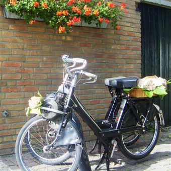 Solexverhuur het Drents kwartiertje in hartje Drenthe.