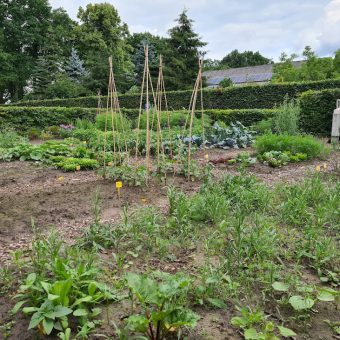 tuin van Het Drents kwartiertje - Het Drents Kwartiertje - Solex Huren / Rijden - Dafje Huren / Rijden - Groepsactiviteiten, workshops, teambuilding en trainingen Drenthe